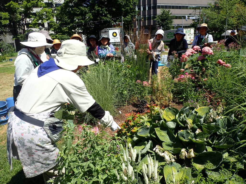 2025年さっぽろまちづくりガーデニング講座第10回目－講義・実習風景