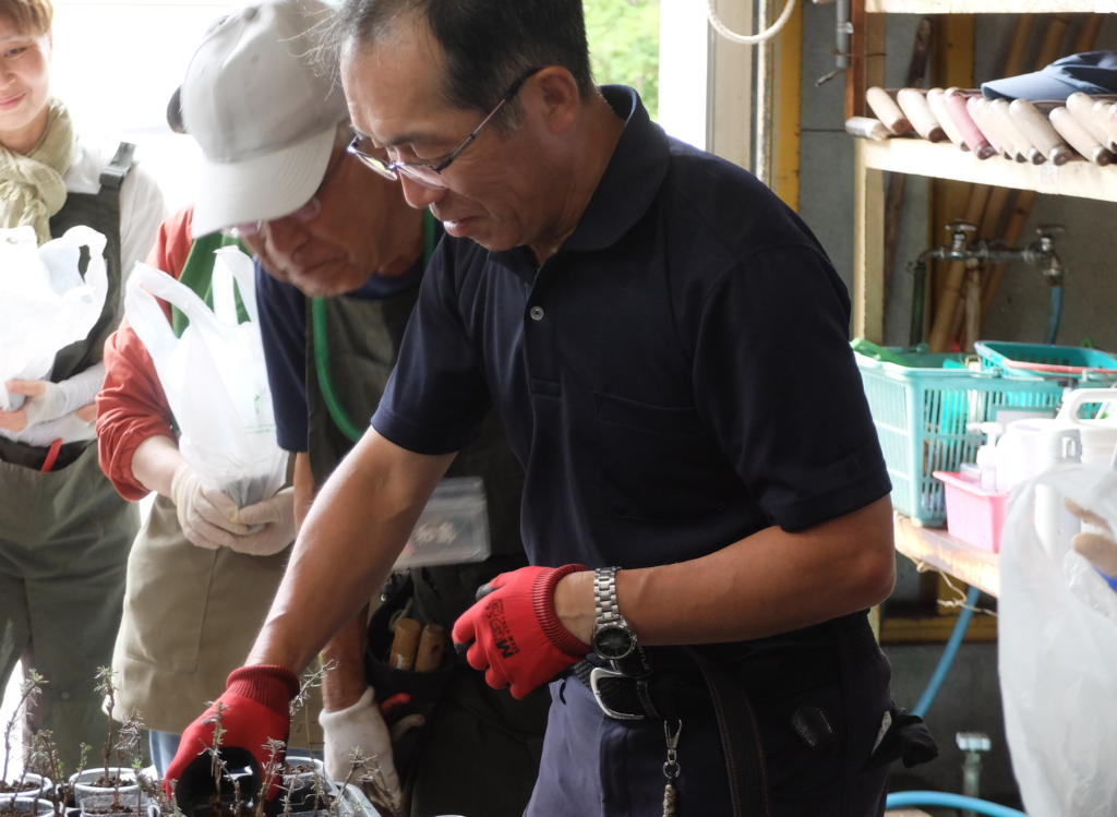 2025年さっぽろまちづくりガーデニング講座第12回目－デモンストレーション風景