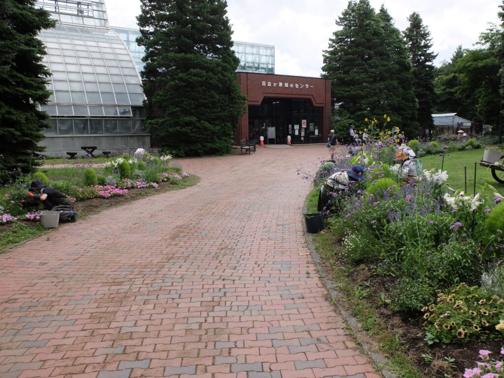 2025年さっぽろまちづくりガーデニング講座課外活動メンテナンス（百合が原公園②）－メンテナンス活動の様子