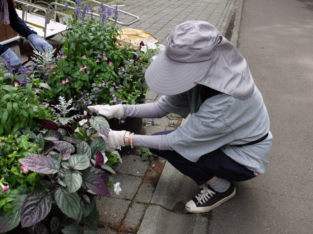 2025年さっぽろまちづくりガーデニング講座課外活動メンテナンス（円山公園④）－メンテナンス活動の様子