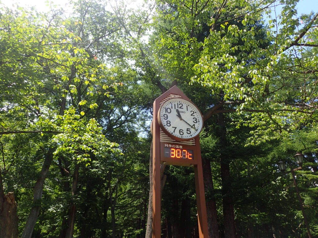 2025年さっぽろまちづくりガーデニング講座課外活動メンテナンス（円山公園③）－メンテナンス活動日の円山公園の様子