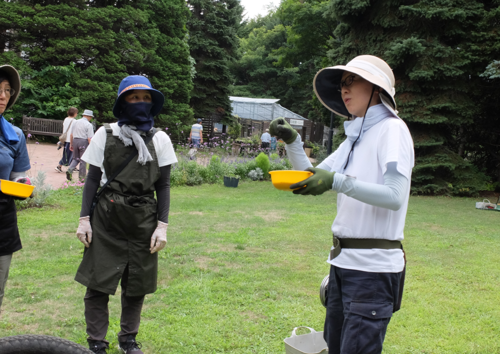 2025年さっぽろまちづくりガーデニング講座課外活動メンテナンス（百合が原公園②）－メンテナンス活動の様子