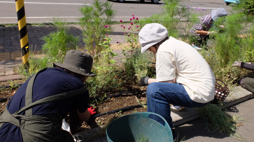 2025年さっぽろまちづくりガーデニング講座課外活動メンテナンス（豊平公園①）－メンテナンス活動の様子