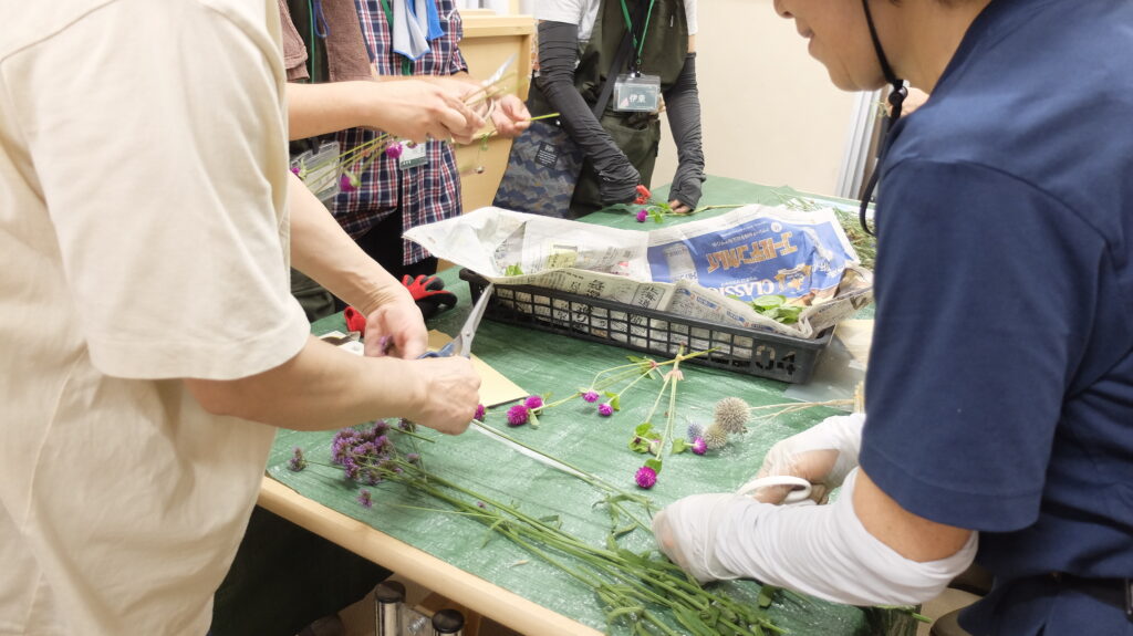 2025年さっぽろまちづくりガーデニング講座課外活動メンテナンス（豊平公園①）－メンテナンス活動の様子