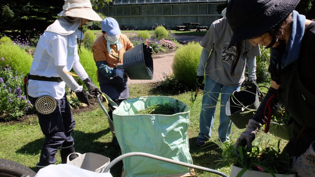 2025年さっぽろまちづくりガーデニング講座課外活動メンテナンス（百合が原公園③）－メンテナンス活動の様子