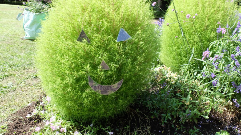 2025年さっぽろまちづくりガーデニング講座課外活動メンテナンス（百合が原公園③）－メンテナンス活動の様子