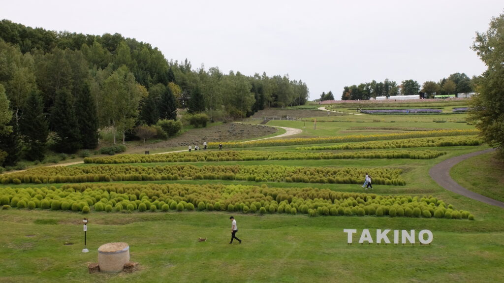 2025年さっぽろまちづくりガーデニング講座第13回目－ガーデン見学会の様子
