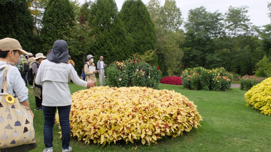 2025年さっぽろまちづくりガーデニング講座第13回目－ガーデン見学会の様子