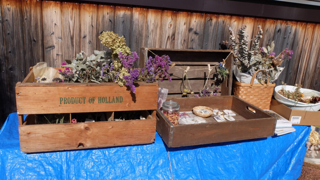 2025年さっぽろまちづくりガーデニング講座課外活動メンテナンス（豊平公園②）－メンテナンス活動の様子