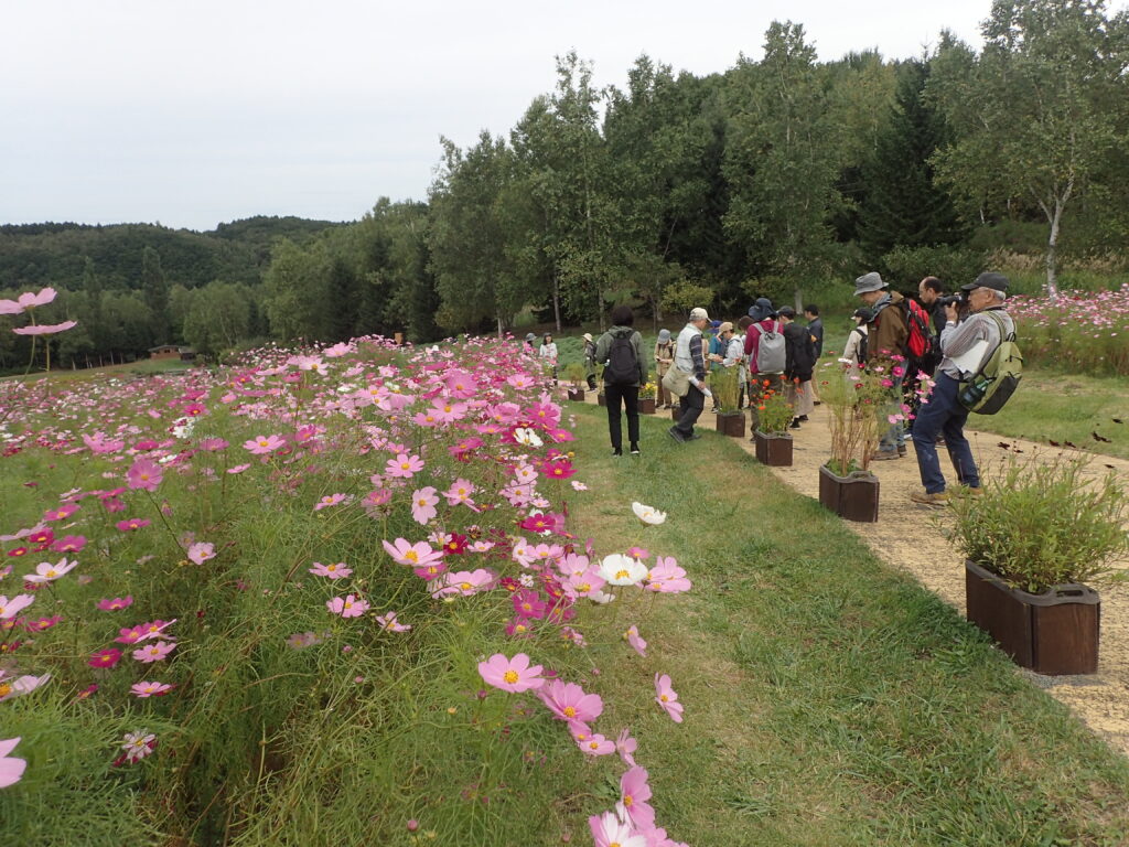 2025年さっぽろまちづくりガーデニング講座第13回目－ガーデン見学会の様子