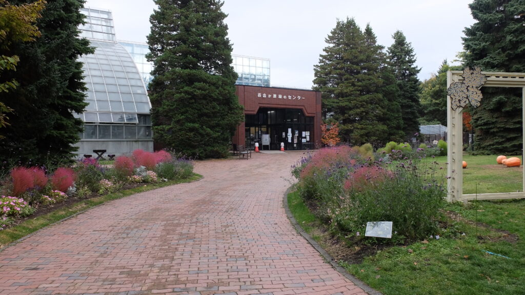 2025年さっぽろまちづくりガーデニング講座課外活動メンテナンス（百合が原公園④）－メンテナンス前の様子