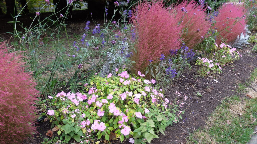 2025年さっぽろまちづくりガーデニング講座課外活動メンテナンス（百合が原公園④）－メンテナンス活動前の様子