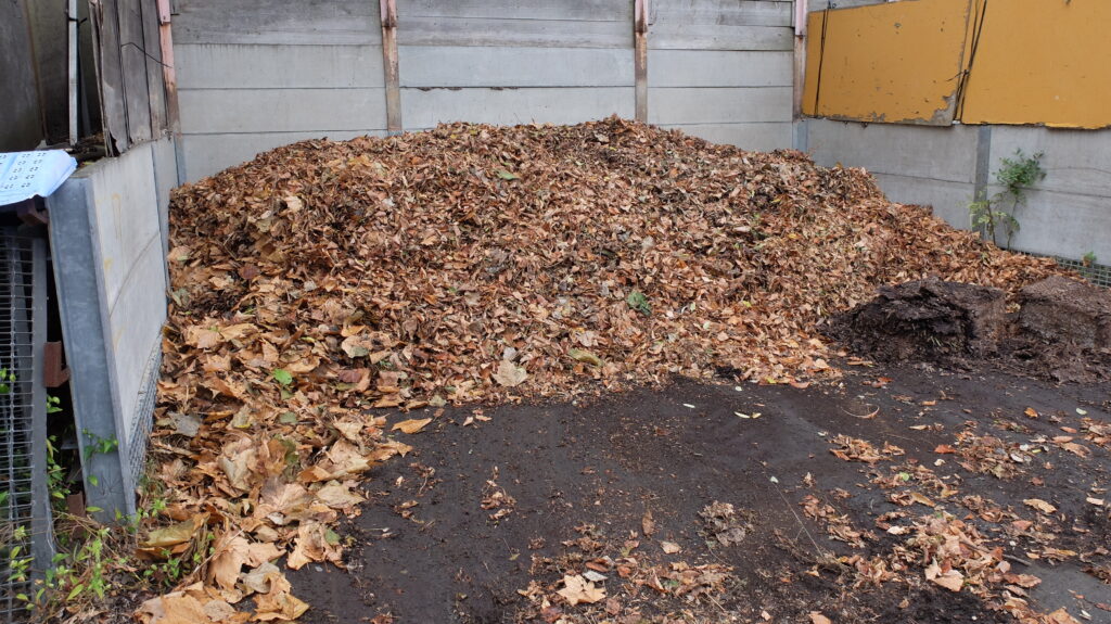 2025年さっぽろまちづくりガーデニング講座第15回目－落ち葉堆肥の様子