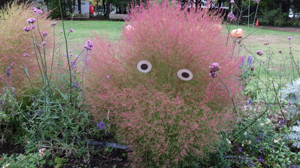 2025年さっぽろまちづくりガーデニング講座課外活動メンテナンス（百合が原公園④）－メンテナンス活動後の様子