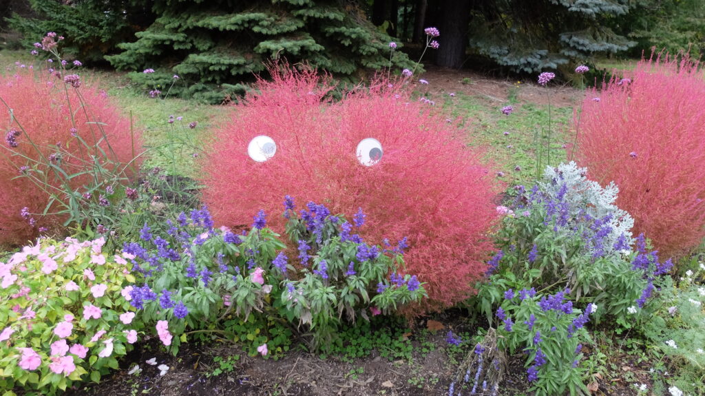 2025年さっぽろまちづくりガーデニング講座課外活動メンテナンス（百合が原公園④）－メンテナンス活動後の様子