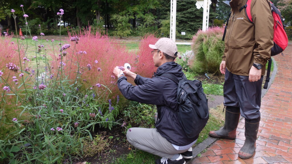 2025年さっぽろまちづくりガーデニング講座課外活動メンテナンス（百合が原公園④）－メンテナンス活動の様子