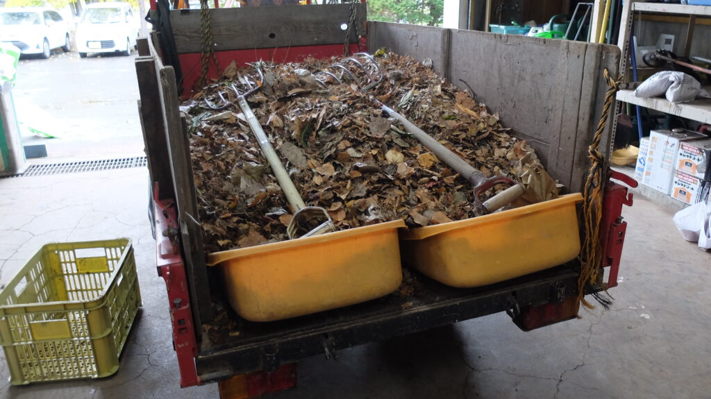 2025年さっぽろまちづくりガーデニング講座第15回目－堆肥に使用する落ち葉