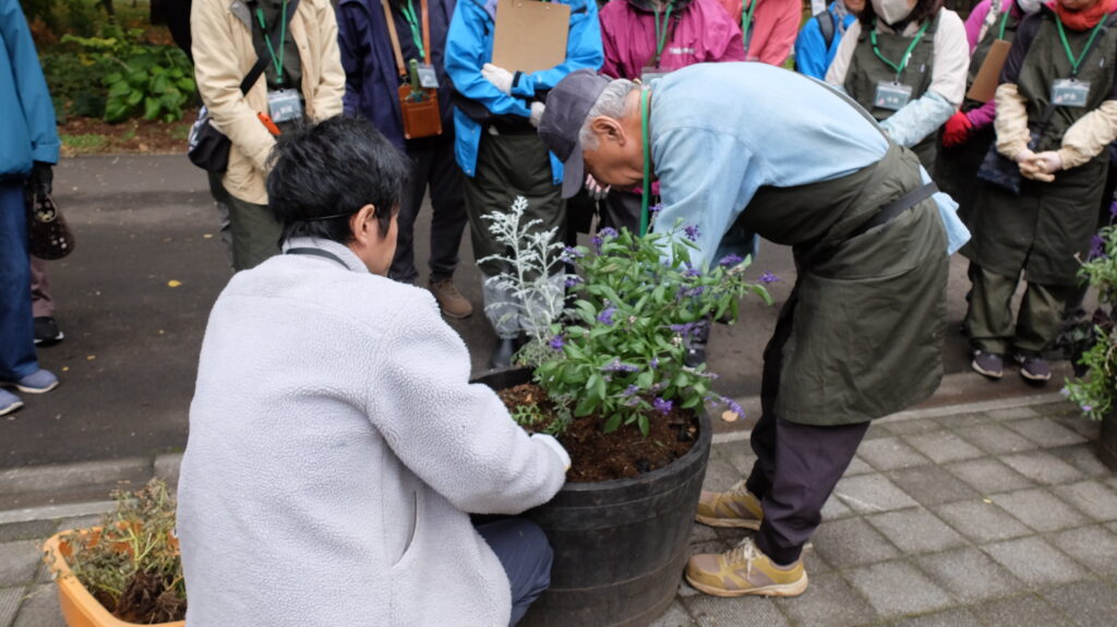 2025年さっぽろまちづくりガーデニング講座第16回目－実習風景