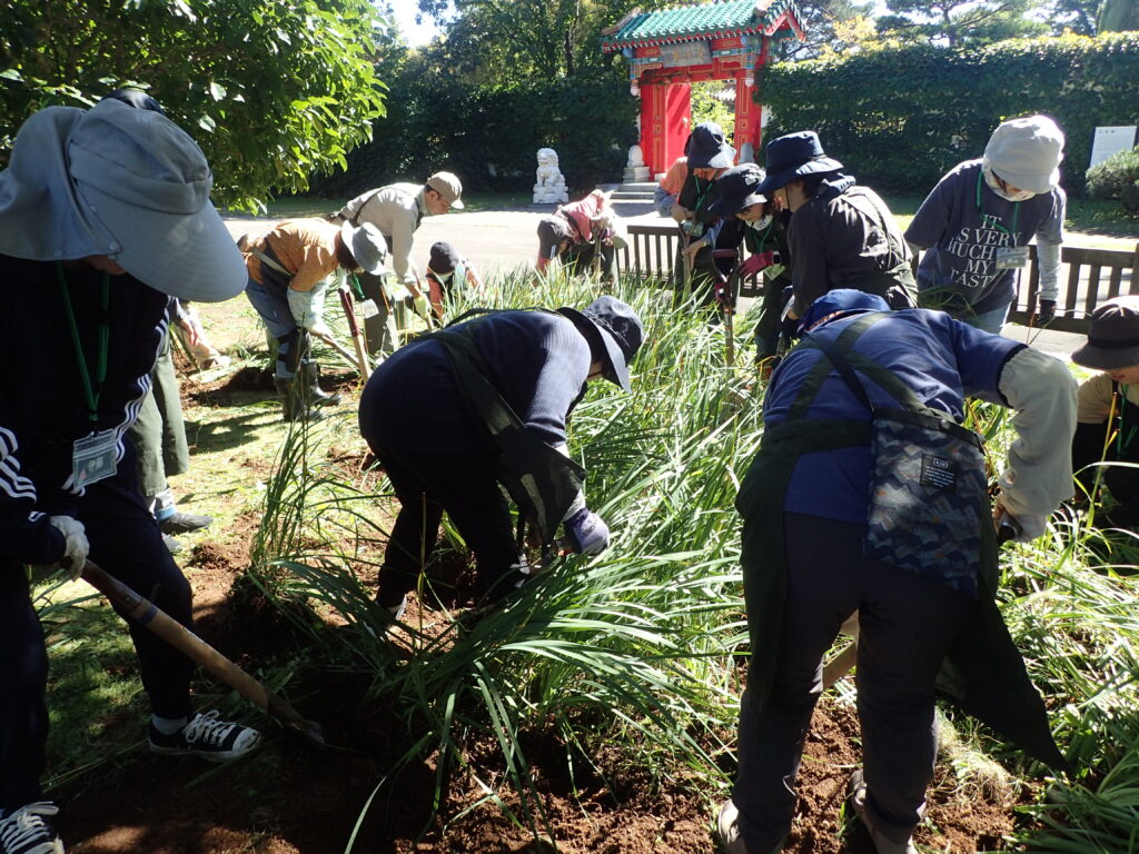 2025年さっぽろまちづくりガーデニング講座第14回目－実習風景
