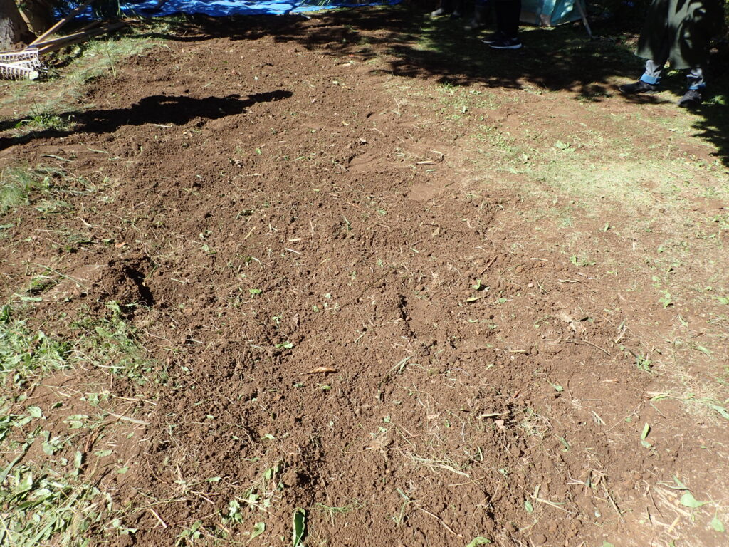 2025年さっぽろまちづくりガーデニング講座第14回目－実習風景