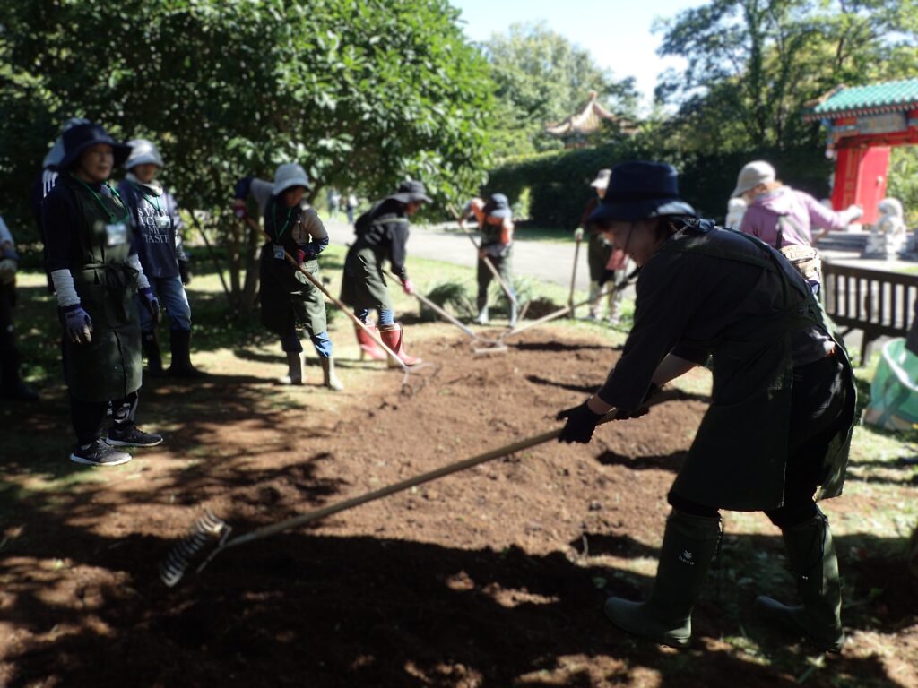 2025年さっぽろまちづくりガーデニング講座第14回目－実習風景