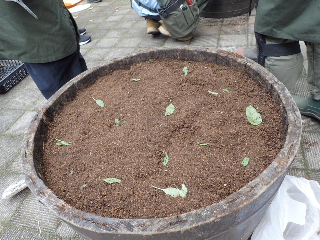 2025年さっぽろまちづくりガーデニング講座第16回目－実習風景