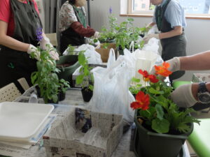 小さなポタジェづくり