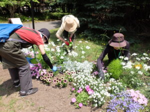 花壇メンテナンス