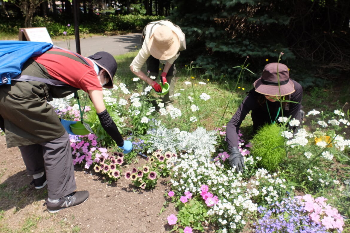 まちづくりガーデニング講座