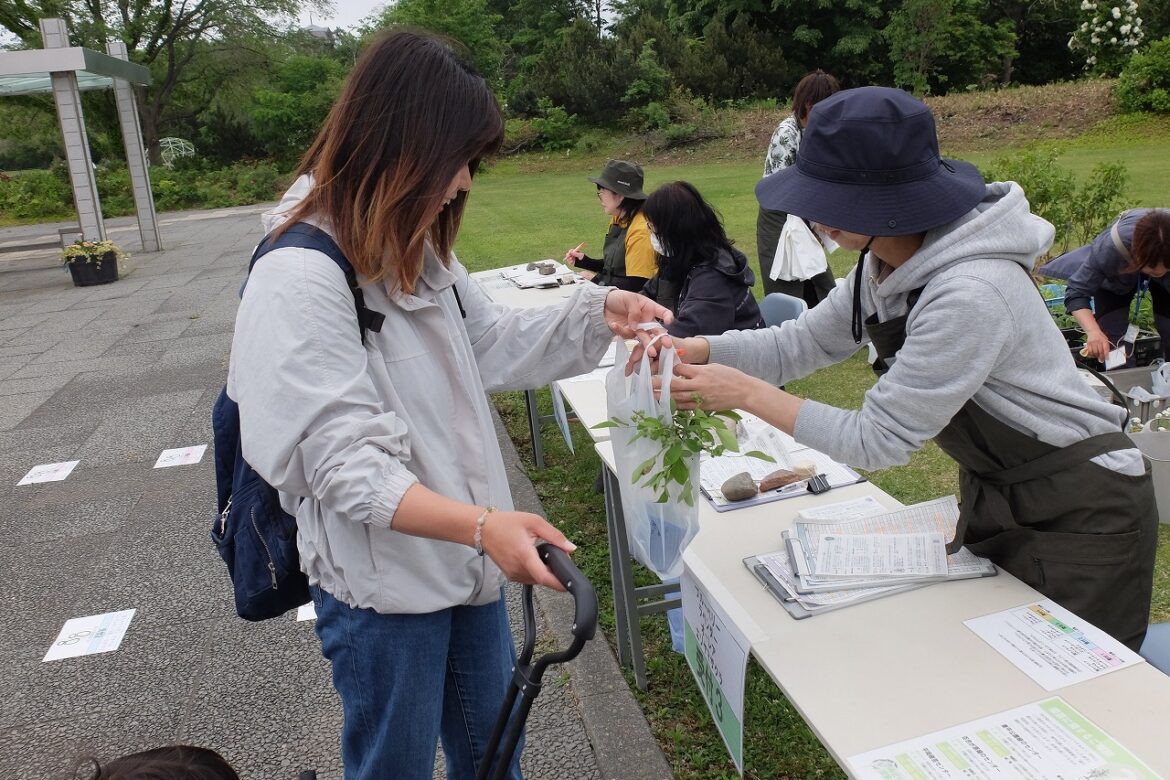 記念樹配付のようす