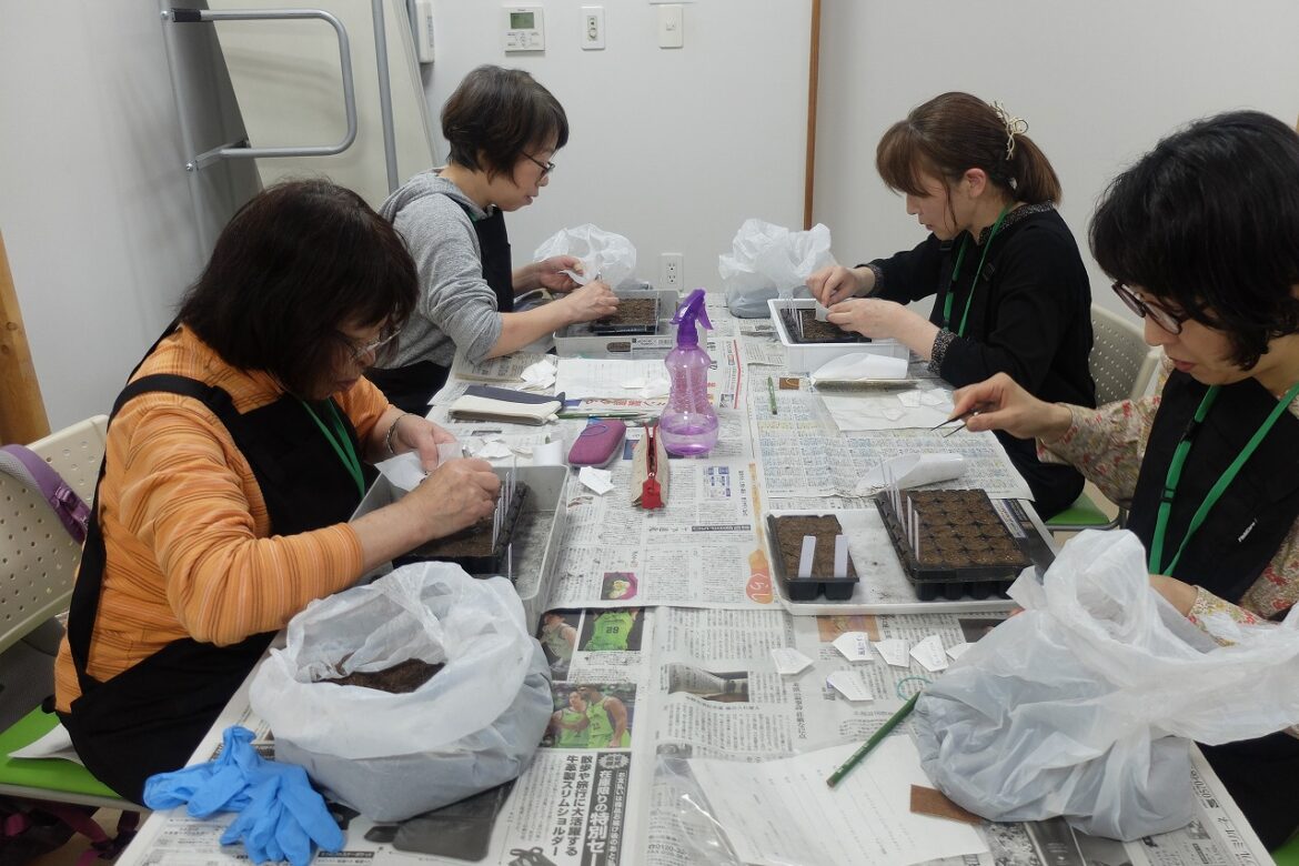 ピンセットを使用してセルトレイに種まきをする受講者