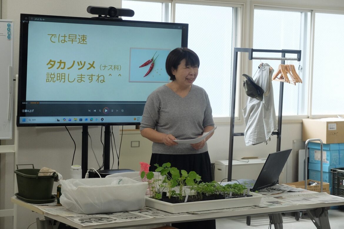 「【2026年さっぽろまちづくりガーデニング講座】第4回目　種から育てる苗づくり2（ポット上げ）」のイメージ