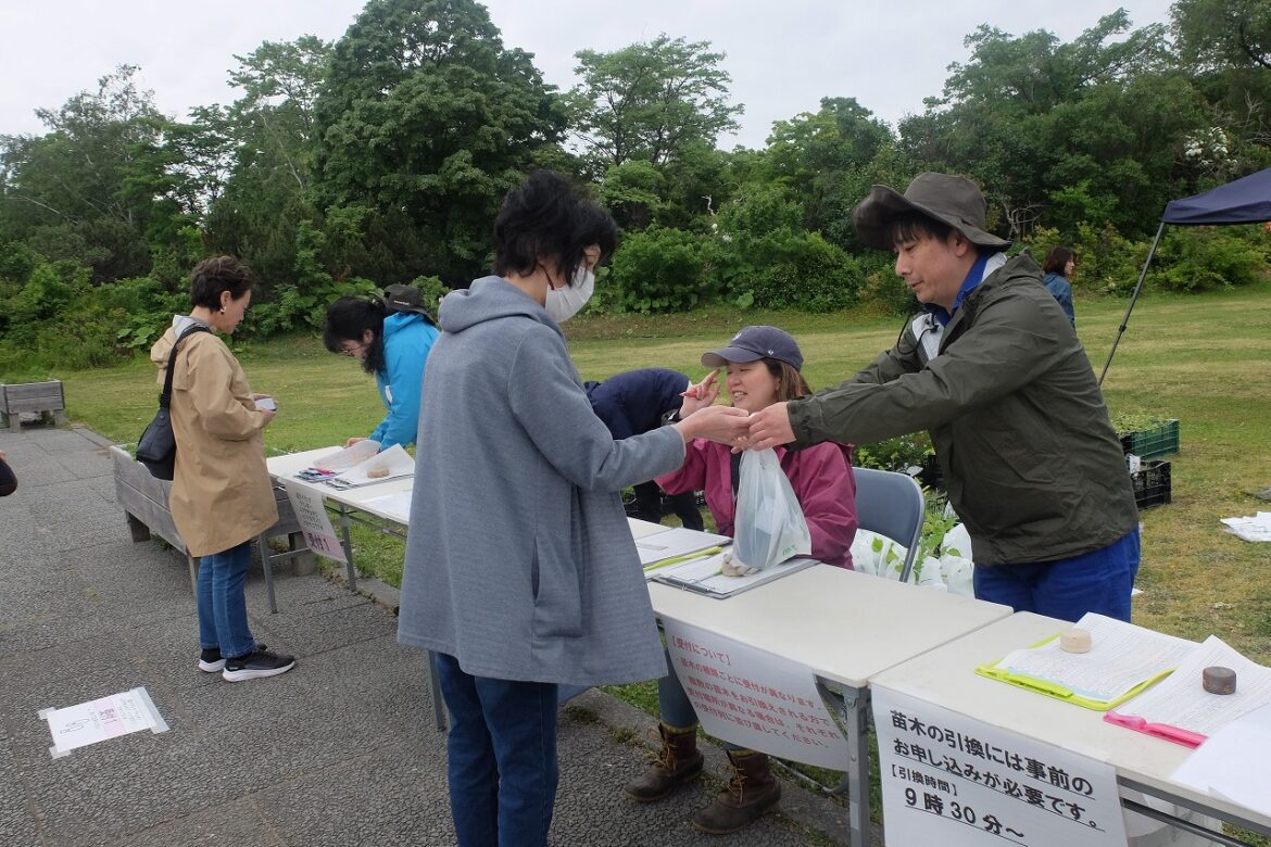 記念樹配付のようす2
