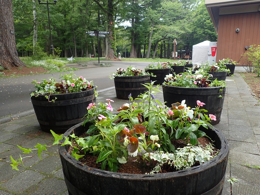 公園の入り口に完成したコンテナ10基が並んでいる様子