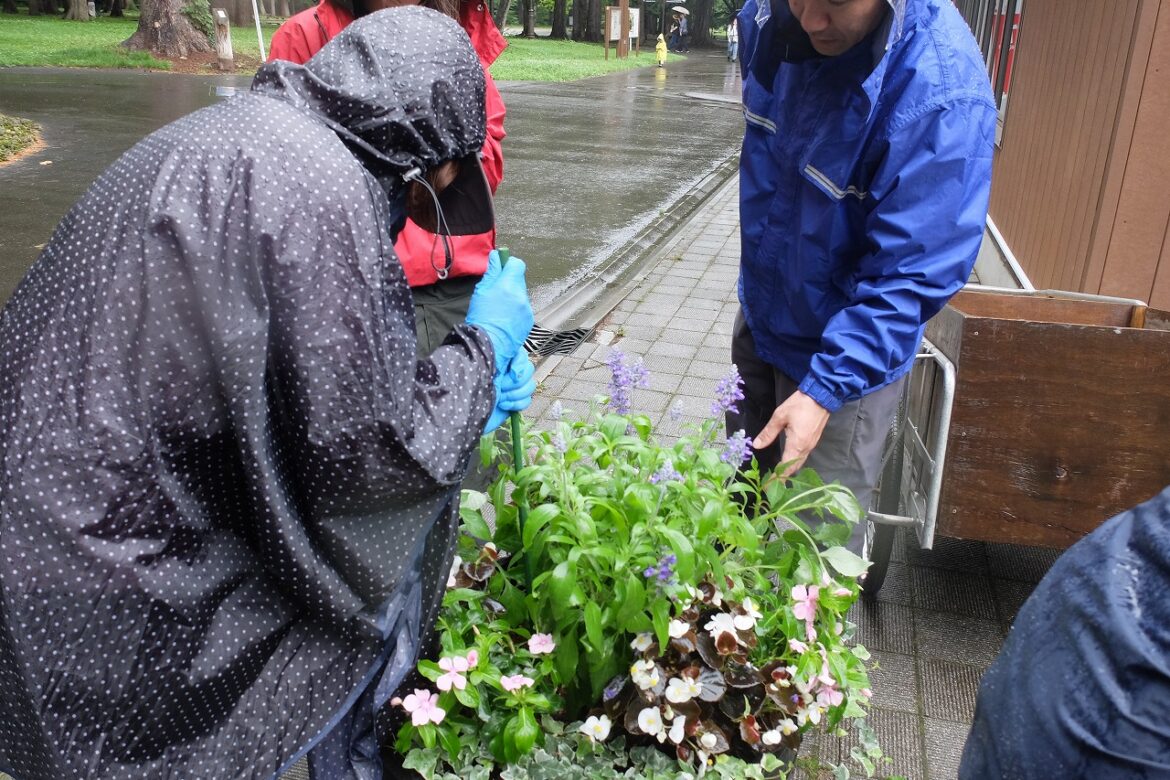 ダリアの支柱と立てる樹受講生と指導する講師