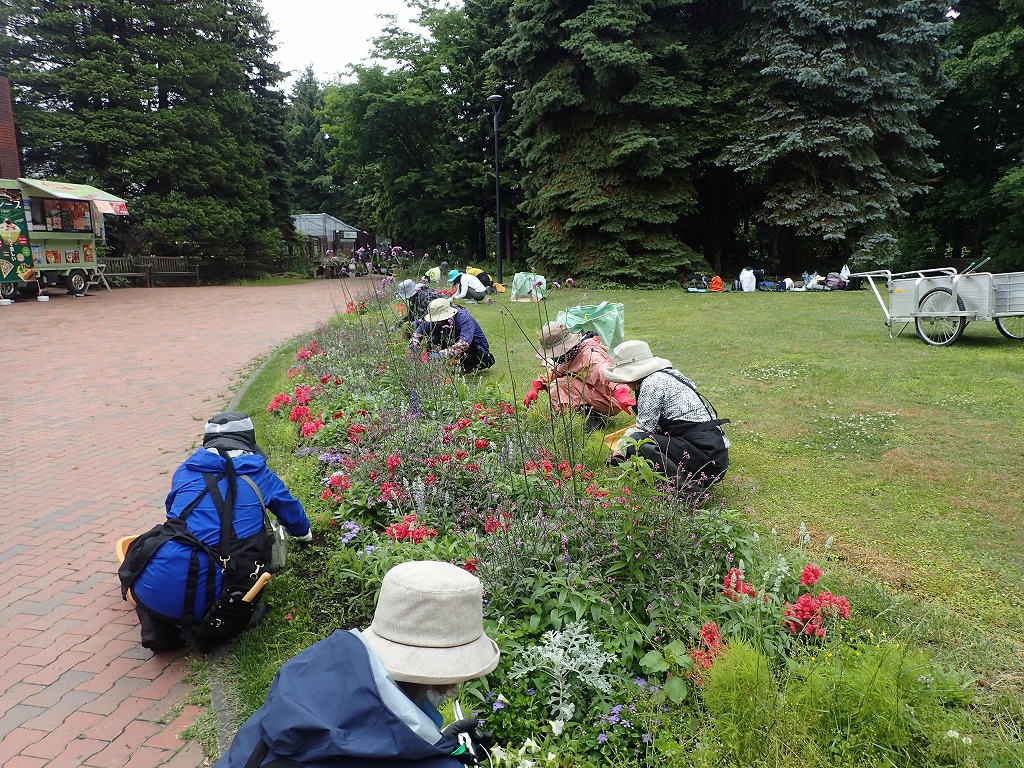 細長い花壇で向かい合わせになって花壇の除草をする受講生達