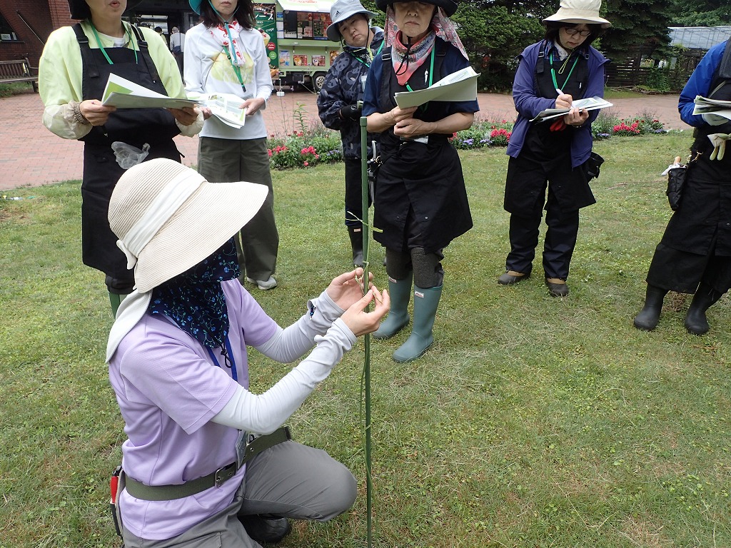 芝生広場で支柱の立て方をデモンストレーションする講師