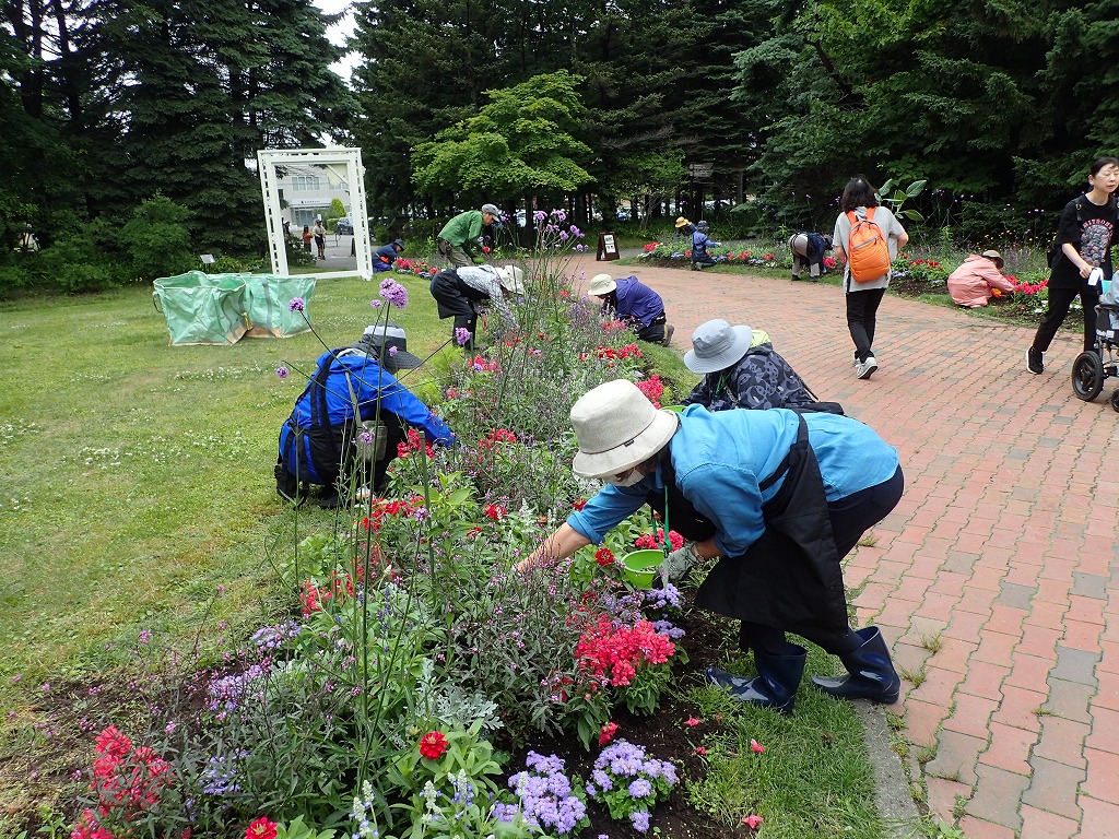 花壇の花に施肥する受講生達