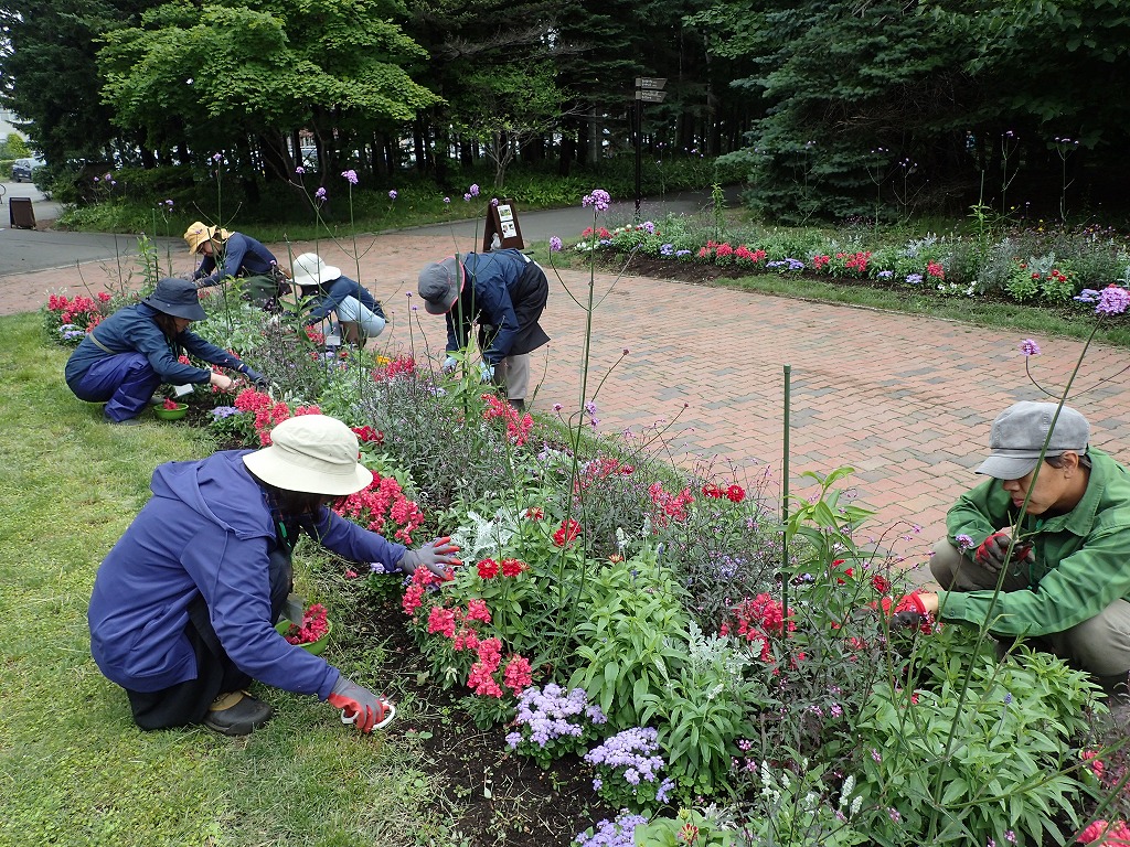 細長い花壇の花がらつみをする受講生