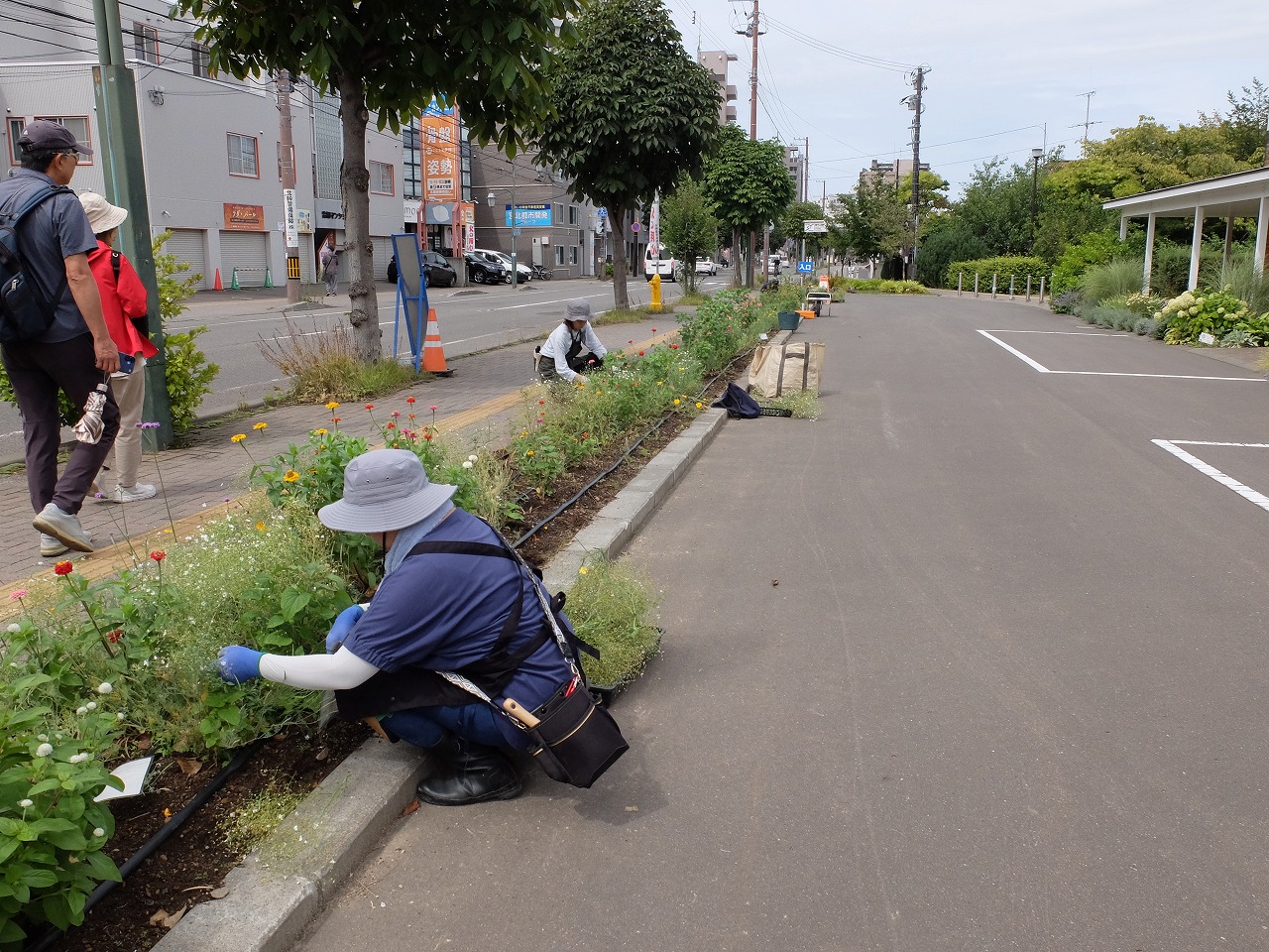 3m程度の間隔をあけて細長い花壇を除草する様子