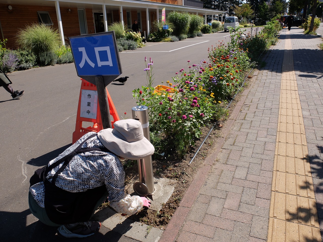 花壇の端、車止めの周囲を除草する様子