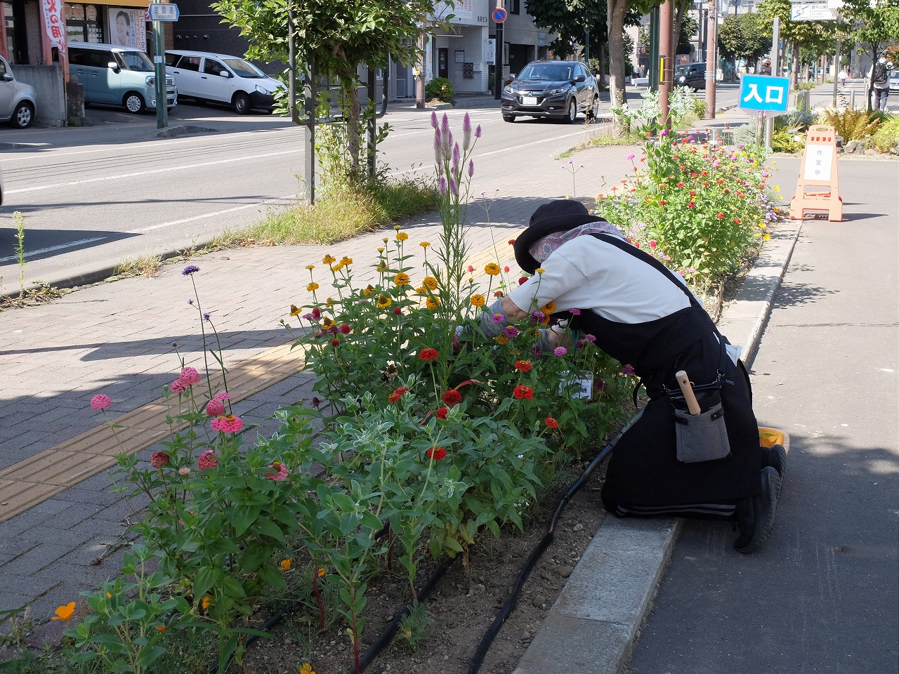 膝をつき、花壇の奥に手を伸ばし花がらを摘む受講生