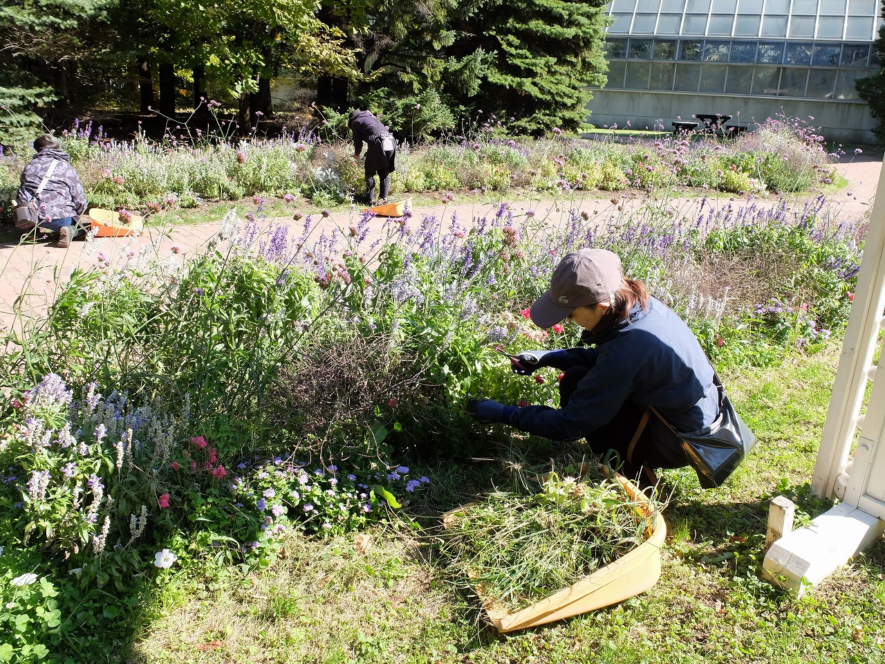 花壇の除草をする様子
