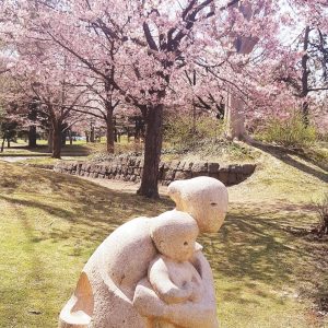 005_静かなお花見/中島公園