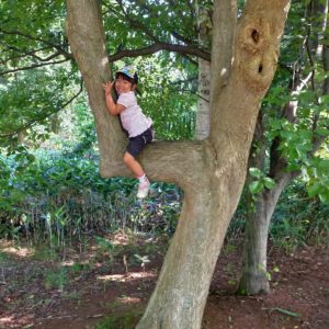 028_木ちゃんと仲良し/野幌森林公園