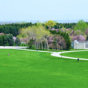 030_新緑の瞬間（とき）_モエレ沼公園