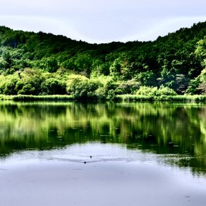 039_シンメトリー/西岡公園