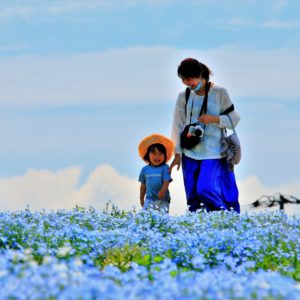 052_わ～きれい♪/さとらんど