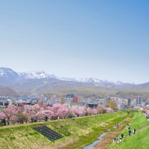 055_維持していく_軽川緑地