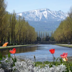 056_残雪に彩り添えて/前田森林公園